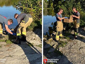 Bamberger Feuerwehr mit Rettungseinsatz - "offensichtlich verletztes Tier"