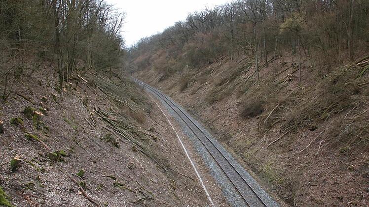 Unter anderem entlang der Strecke nach Ebenhausen wurden die Bäume und Sträucher entfernt. Foto: Ralf Ruppert