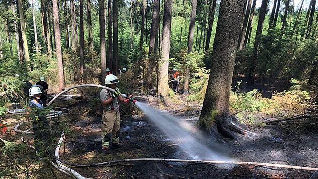 In Oberfranken hat sich am Mittwoch (3. Juli 2019) ein Waldbrand ereignet. Foto: Fricke/News5