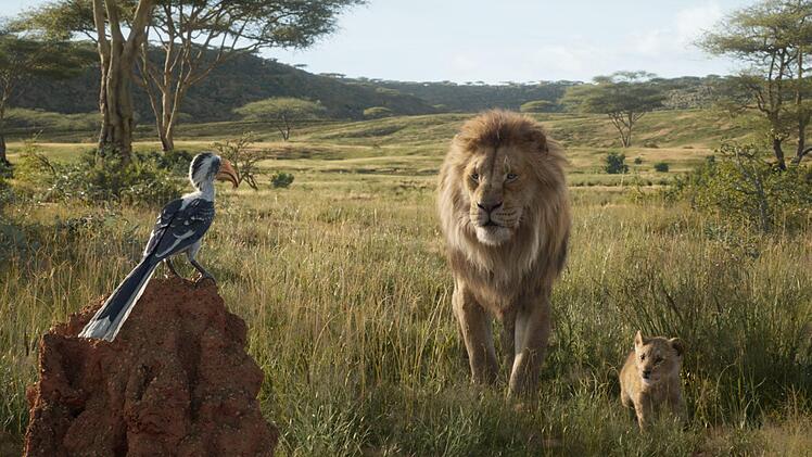 Auch der Film "König der Löwen" wird präsentiert. Für die Vorstellung am Donnerstag um 22.30 Uhr gibt es noch Karten. Foto: Disney Enterprises/dpa