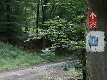 Die MTB-Strecke an der Mettermich bei Schondra ist bereits ausgewiesen, wird aber noch mal verlegt. Foto: Steffen Standke