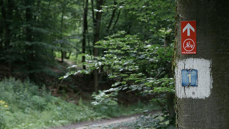 Die MTB-Strecke an der Mettermich bei Schondra ist bereits ausgewiesen, wird aber noch mal verlegt. Foto: Steffen Standke