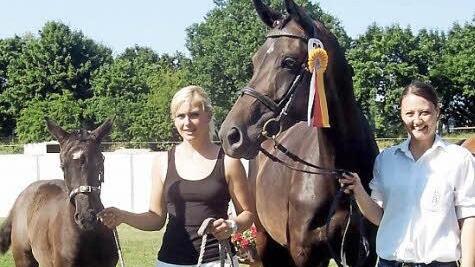 So sehen die Gewinner in der der Kategorie ,Stute' aus.