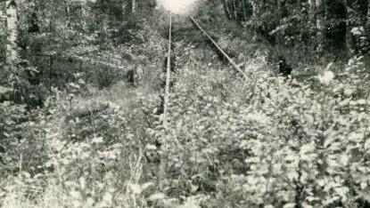 So schnell ändern sich die Zeiten: War die Bahnstrecke kurz hinter Wildenheid 1989 noch zugewachsen (linkes Bild), drängten sich schon knapp zwei Jahre später die Menschenmassen bei der Wiedereröffnung an der Bahnstrecke. Ganz vorne im Zug saß Ernst Fleischmann. Fotos: CT-.Archiv (2) / Berthold Köhler (1)