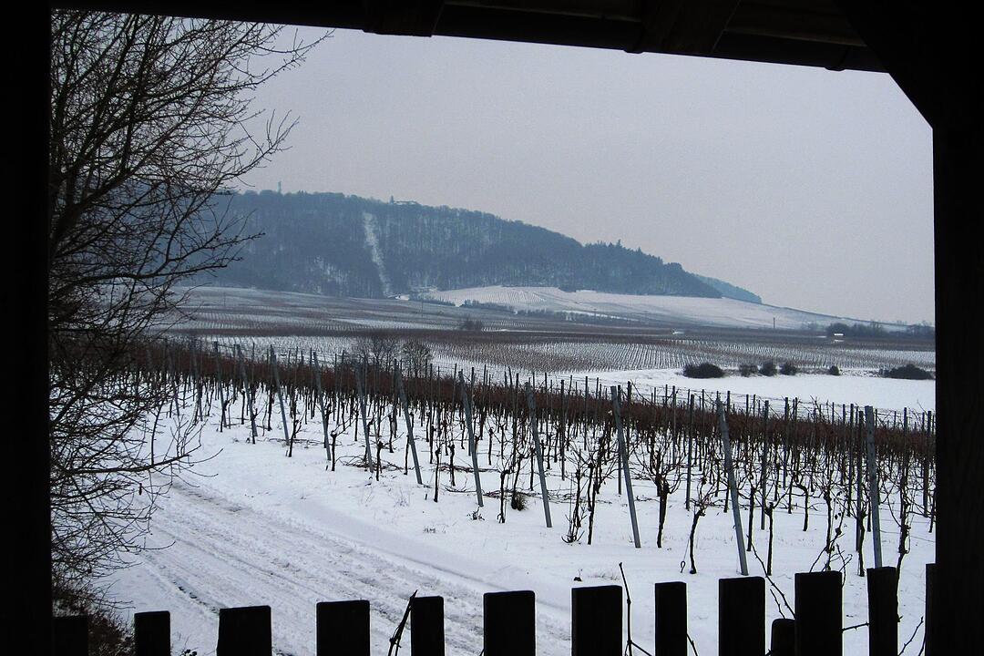 Fotos Konrad Thomann