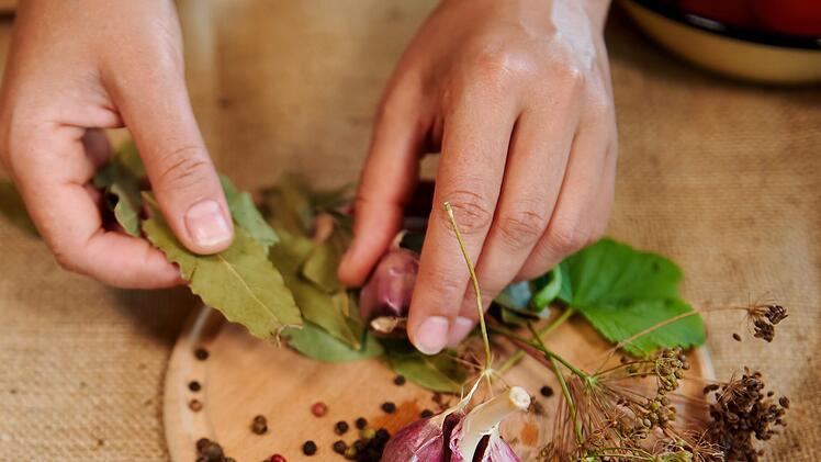 Gewürze: Knoblauch, Dill, Lorbeerblätter, Lorbeerblatt