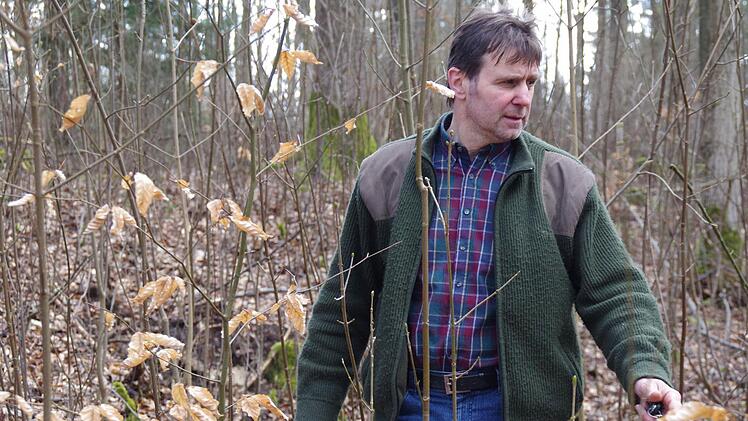 Die Arbeiten im Kirchenwald und im städtischen Wald sorgen für Gerüchte. Vom Ausverkauf und von der Verschandelung der Wälder ist die Rede. Das sei ebenso Unsinn wie der Ruf nach aufgeräumten Wäldern, versichert Stadtförster Ulrich Dautel. Äste, Reisig und Totholz seien wichtig im Wald. Der Unrat aus den Haushalten, der dort landet, sei das einzige Schmutzproblem. Fotos: Marco Meißner