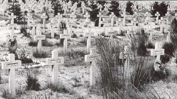 Akkurat wie an der Schnur gezogen stehen die Gräber auf dem Soldatenfriedhof in Lommel (Belgien).Foto: Paul Ziegler
