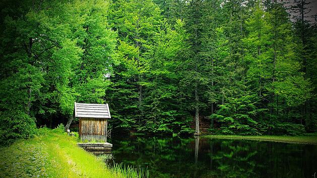 Idylle pur: Wir haben Wander-Empfehlungen f&uuml;r den bayerischen Wald f&uuml;r dich, die dich an Orte f&uuml;hren, an denen wenig los ist.
