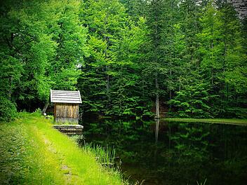 Idylle pur: Wir haben Wander-Empfehlungen für den bayerischen Wald für dich, die dich an Orte führen, an denen wenig los ist.