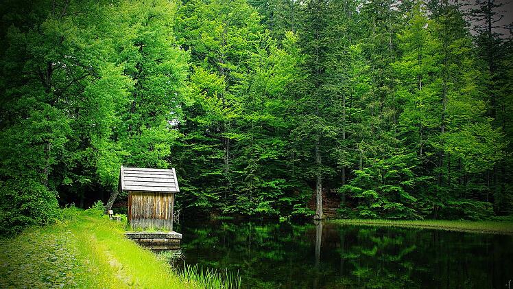 Idylle pur: Wir haben Wander-Empfehlungen für den bayerischen Wald für dich, die dich an Orte führen, an denen wenig los ist.