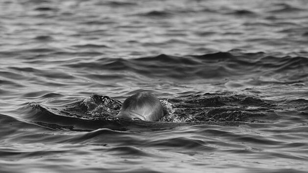 Baiersdorf: Mann stirbt nach Schwimmen in Baggersee