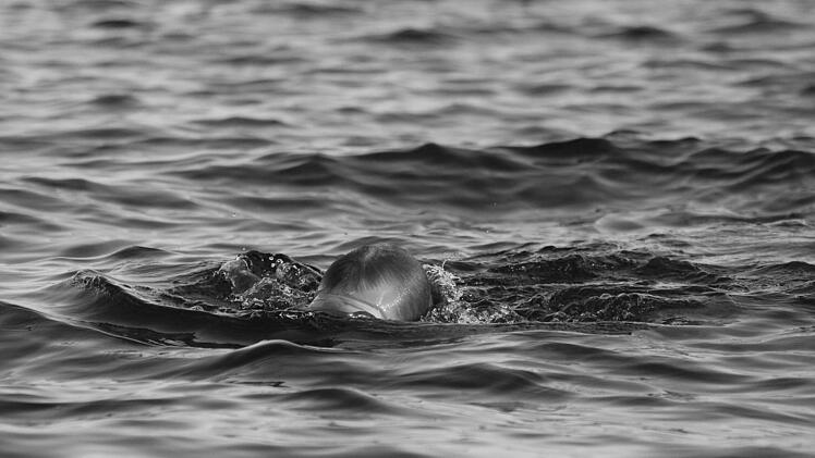 Baiersdorf: Mann stirbt nach Schwimmen in Baggersee