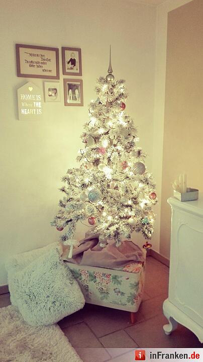 Weihnachten in Franken: Die Christbäume unserer Leser