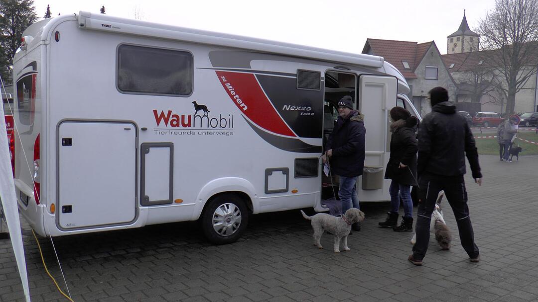 Hunde im Weihnachtskostüm: tierischer Weihnachtsmarkt in Haßfurt lockt hunderte Besucher