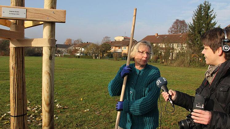 Sieglinde Roider  pflanzte eine Silberlinde und wurde vom BR-Hörfunk  interviewt.