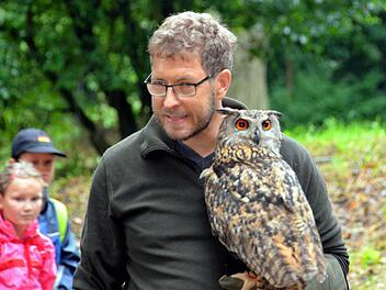 Falkner Michael Schanze erklärte in Aschach den Umgang mit dem Greifvogel. Fotos: Peter Rauch