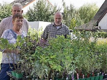 Ein Blick in den Kunsthandwerker-Regionalmarkt und das Sommerfest "Rhöner Vielerei - Entdecken Sie die Rhön!" in der Umweltbildungsstätte in Oberelsbach.  Foto: Marion Eckert