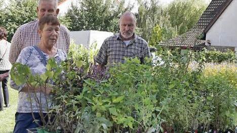 Ein Blick in den Kunsthandwerker-Regionalmarkt und das Sommerfest "Rhöner Vielerei - Entdecken Sie die Rhön!" in der Umweltbildungsstätte in Oberelsbach.  Foto: Marion Eckert