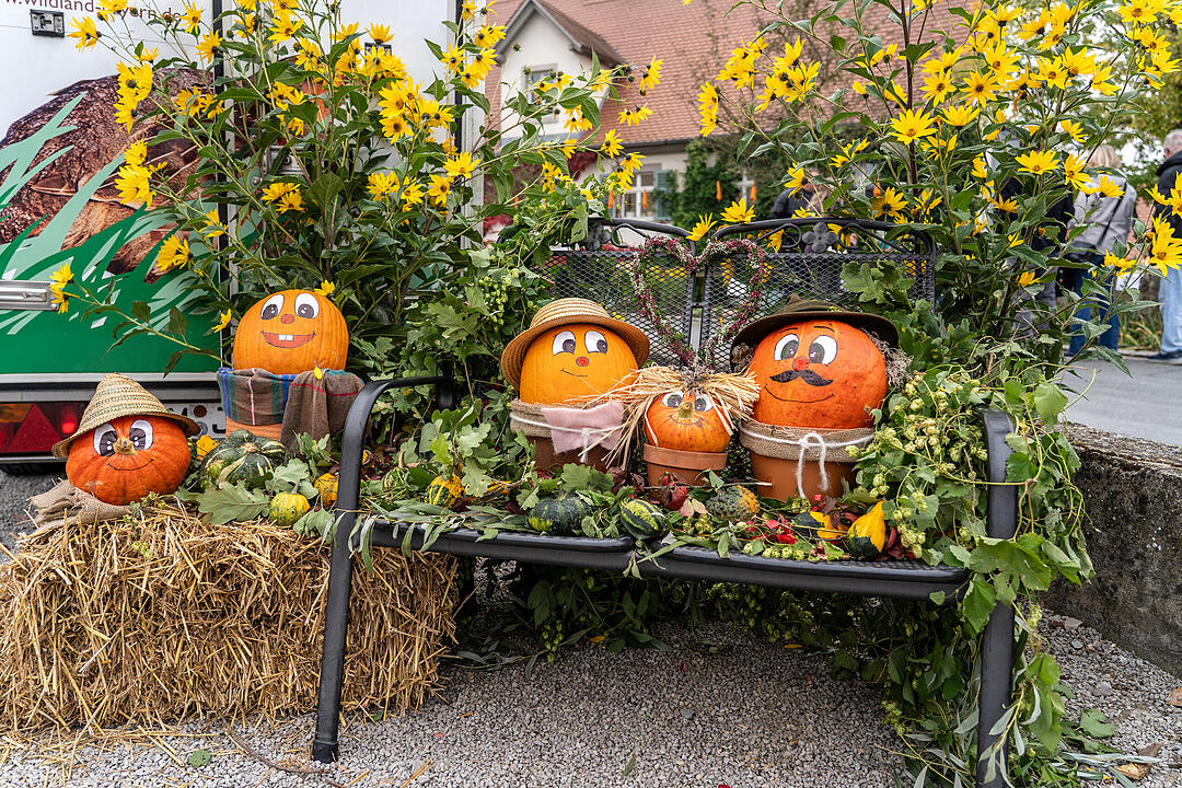 Die K&uuml;rbissaison hat ihren H&ouml;hepunkt mit dem K&uuml;rbismarkt in Altendorf.