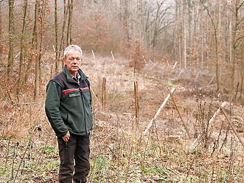 Förster Wolfgang Gnannt erläuterte bei Fierst in der Abteilung "Lerchenstrich" vor der Kahlfläche im Hintergrund die möglichen Maßnahmen der Waldwirtschaft unter Berücksichtigung des Klimawandels. In Zukunft muss der Wald anders bewirtschaftet werden. Foto: Helmut Will