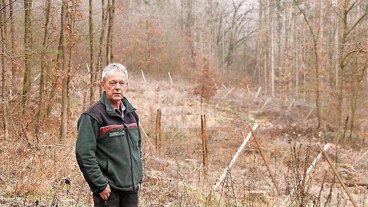 Förster Wolfgang Gnannt erläuterte bei Fierst in der Abteilung "Lerchenstrich" vor der Kahlfläche im Hintergrund die möglichen Maßnahmen der Waldwirtschaft unter Berücksichtigung des Klimawandels. In Zukunft muss der Wald anders bewirtschaftet werden. Foto: Helmut Will