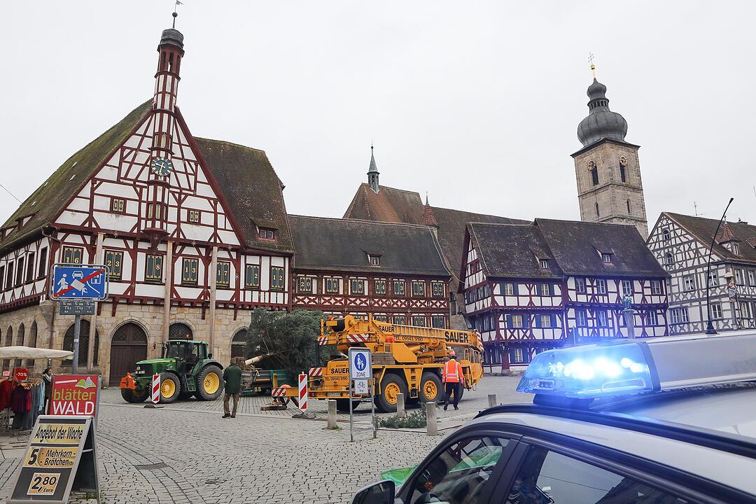 Christbaum kommt aus Schlaifhausen  auf den Forchheimer Rathausplatz