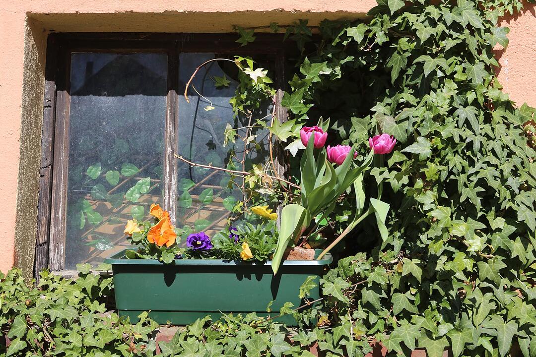 D?ringstadt im Landkreis Lichtenfels; Foto: Barbara Herbst