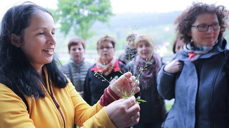 Kräuterseminar: Impressionen einer Entdeckungsreise Foto: Barbara Herbst