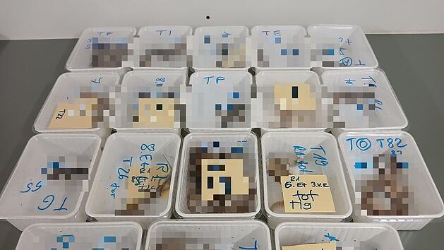 Landkreis Ha&szlig;berge: 32 tote Haustiere gefunden