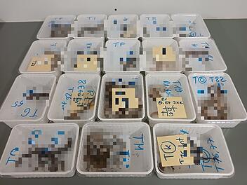 Landkreis Ha&szlig;berge: 32 tote Haustiere gefunden