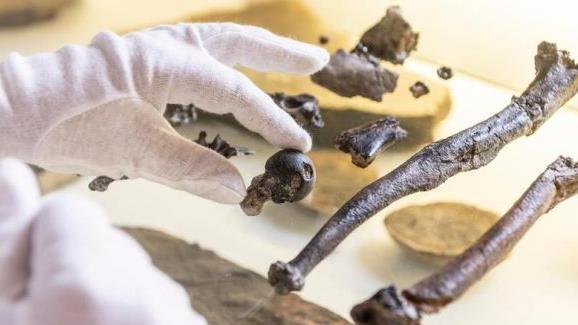 Im Allg&auml;u wurden Knochen gefunden. Diese sollen belegen, dass ein Menschenaffe vor zw&ouml;lf Millionen Jahren bereits auf zwei Beinen unterwegs war. Foto: Jens Kalaene/dpa