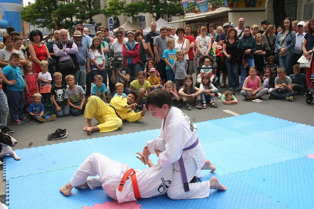 Stadtfest Kitzingen (2)