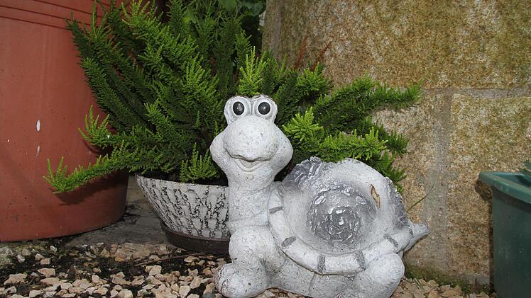 Bilder aus teilnehmenden Gärten Foto: Jürgen Gärtner