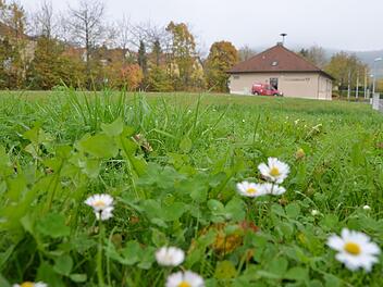 Die Winkelser interessierte es brennend mit ihrem "Festplatz", der Wiese neben dem Feuerwehrhaus, geschehen soll, Foto: Peter Rauch