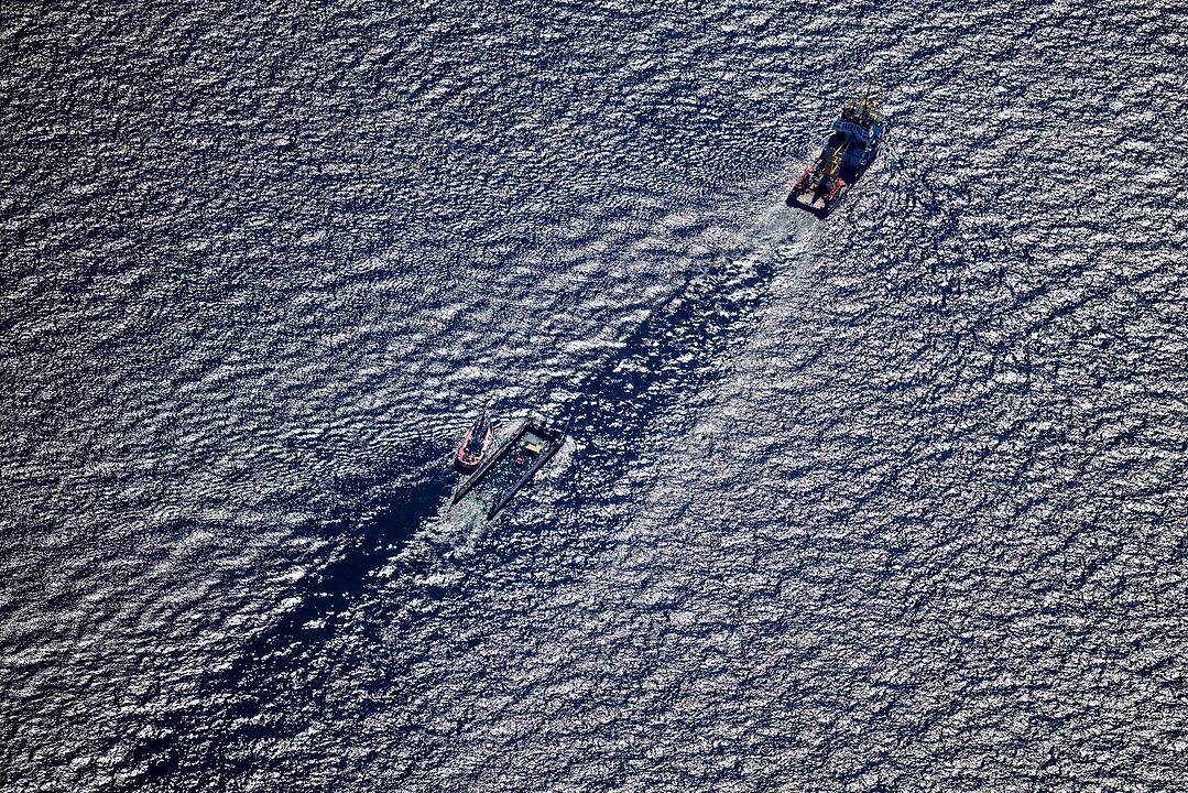 Weitere Entwicklung zum Buckelwal auf dem Weg aus der Ostsee