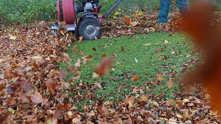 Foto: Barbara Herbst