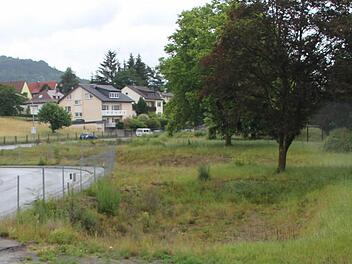 Auf diesem Gelände zwischen Rodacher Straße und Bundesstraße 173 sollen in den nächsten Jahren ein Feuerwehrhaus der Stadt sowie eine Atemschutzübungsanlage des Landkreises entstehen. Foto: Archiv/Marco Meißner