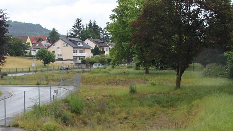 Auf diesem Gelände zwischen Rodacher Straße und Bundesstraße 173 sollen in den nächsten Jahren ein Feuerwehrhaus der Stadt sowie eine Atemschutzübungsanlage des Landkreises entstehen. Foto: Archiv/Marco Meißner