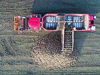 Nach langem Streit &uuml;ber die Ausrichtung der Landwirtschaft soll eine Regierungskommission einen Konsens suchen. Foto: J. Stratenschulte, dpa