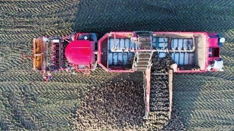 Nach langem Streit &uuml;ber die Ausrichtung der Landwirtschaft soll eine Regierungskommission einen Konsens suchen. Foto: J. Stratenschulte, dpa