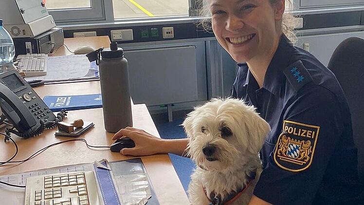 Wilma absolviert "Schnupperpraktikum"