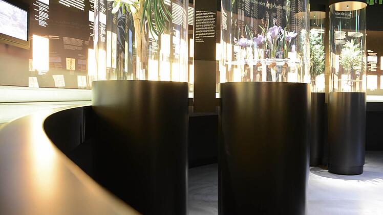 Botanikum des Gewürzmuseums im Mönchshof Foto: Dagmar Besnd
