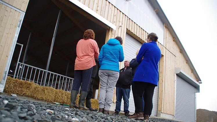 Beim Hofbesuch der FT-Redaktion. Foto: Marco Meißner