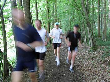 Diese Laufgruppe ist im Michelsberger Wald bei Bamberg unterwegs. Wollen Sie mit ihrer Gruppe verschiedene Strecken im Landkreis ausprobieren? Dann bewerben Sie sich als Laufgruppe für unsere "Aktivwochen". Foto: Michael Wehner