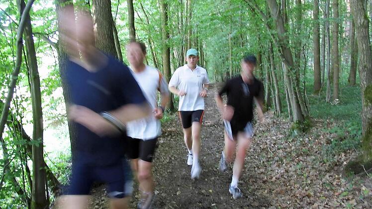 Diese Laufgruppe ist im Michelsberger Wald bei Bamberg unterwegs. Wollen Sie mit ihrer Gruppe verschiedene Strecken im Landkreis ausprobieren? Dann bewerben Sie sich als Laufgruppe für unsere "Aktivwochen". Foto: Michael Wehner