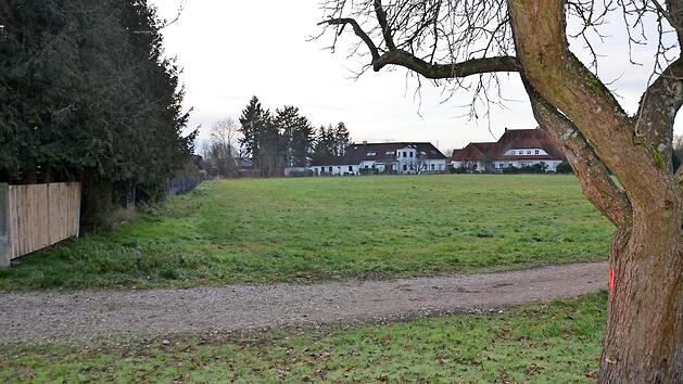 Der alte Apfelbaum tr&auml;gt eine rote Markierung, er muss weg. Auf der Gr&uuml;nfl&auml;che jenseits des Wegs entsteht das kleine Baugebiet.