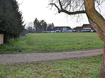 Der alte Apfelbaum trägt eine rote Markierung, er muss weg. Auf der Grünfläche jenseits des Wegs entsteht das kleine Baugebiet.
