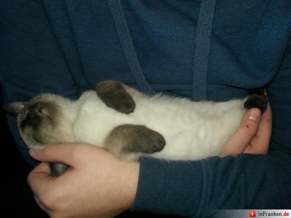 Foto: Andrea Ostarek