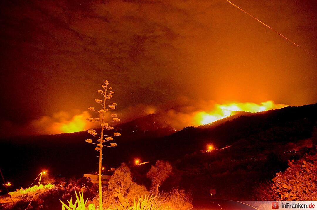 Waldbrand auf der Kanarischen Insel